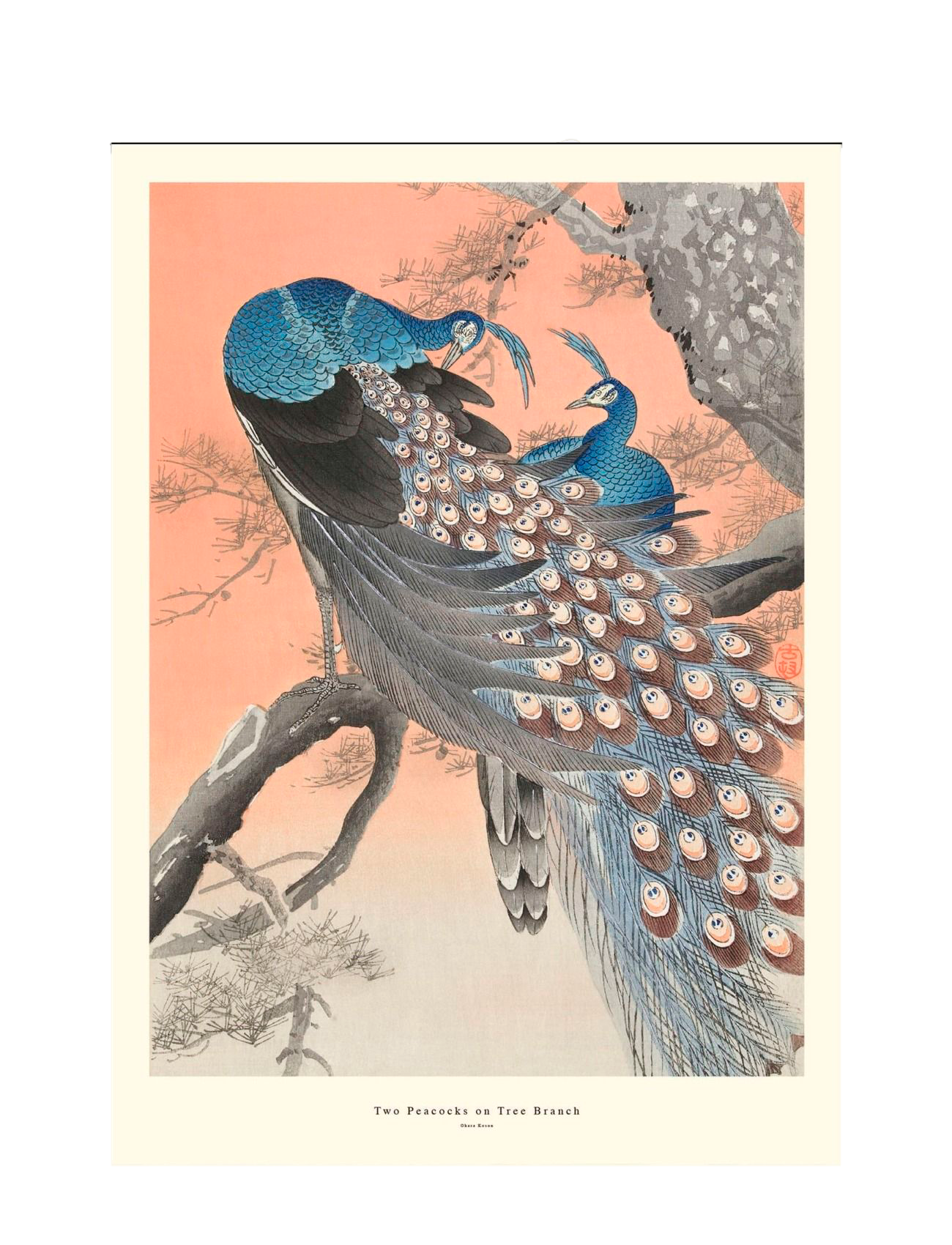 Two Peacocks On Tree Branch plakat - mix